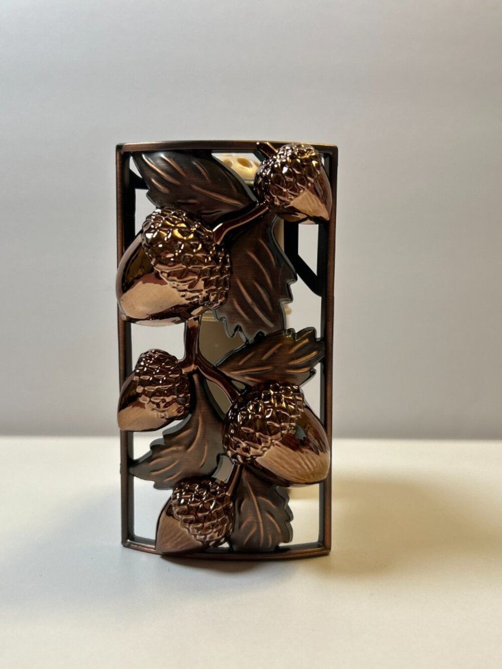 Bath & Body Works Nighlight Wallflower Plug-in Brown Acorn Fall Decor Shiny